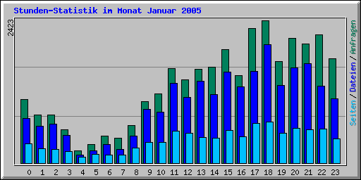 Stunden-Statistik im Monat Januar 2005