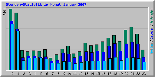 Stunden-Statistik im Monat Januar 2007