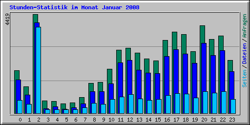 Stunden-Statistik im Monat Januar 2008