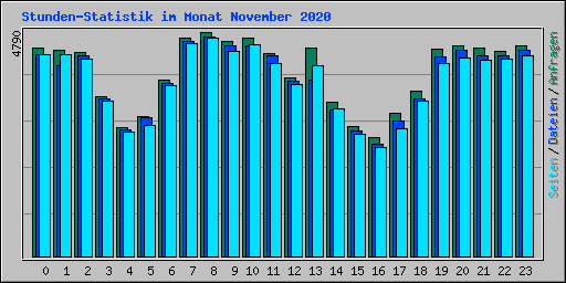 Stunden-Statistik im Monat November 2020