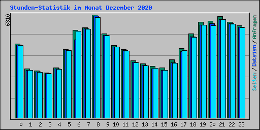 Stunden-Statistik im Monat Dezember 2020