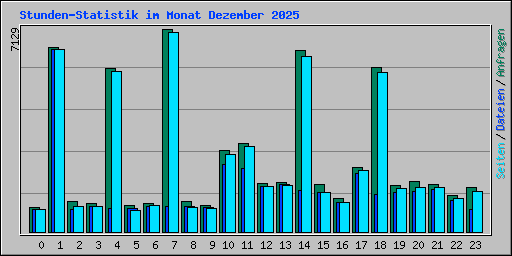 Stunden-Statistik im Monat Dezember 2025