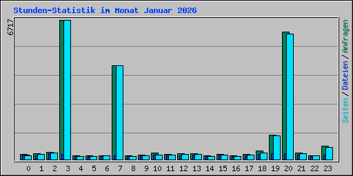 Stunden-Statistik im Monat Januar 2026