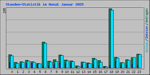 Stunden-Statistik im Monat Januar 2025