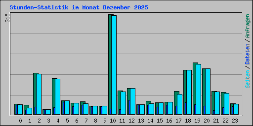 Stunden-Statistik im Monat Dezember 2025