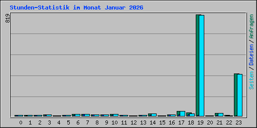 Stunden-Statistik im Monat Januar 2026