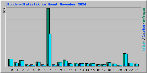 Stunden-Statistik im Monat November 2024