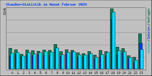 Stunden-Statistik im Monat Februar 2025