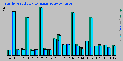 Stunden-Statistik im Monat Dezember 2025
