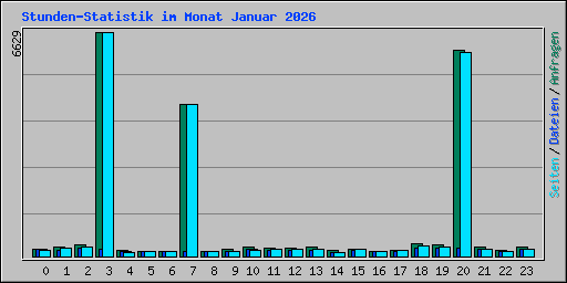 Stunden-Statistik im Monat Januar 2026